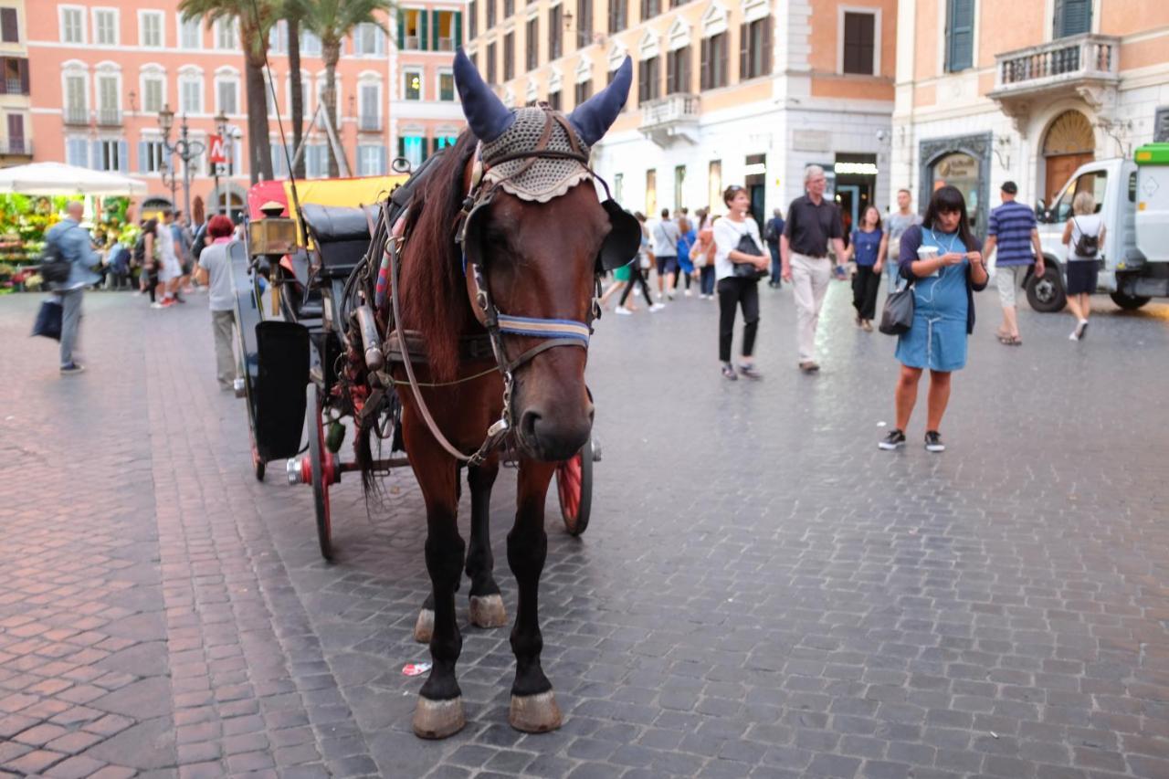 Joivy Trevi Fountain'S Relais Daire Roma Dış mekan fotoğraf